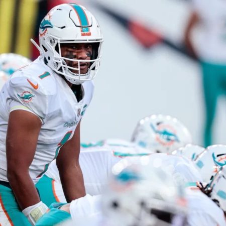 Miami Dolphins Betting Preview
