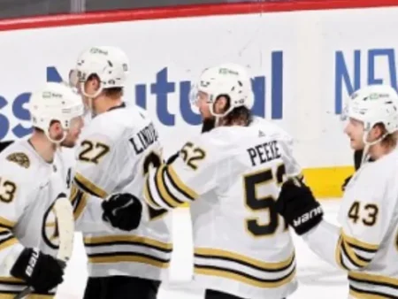 Stanley Cup Playoffs: Panthers vs Bruins Odds & Picks (May 17th)